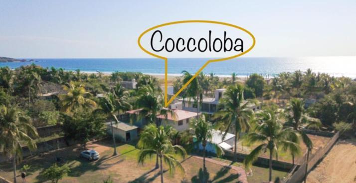 Guest house Coccoloba