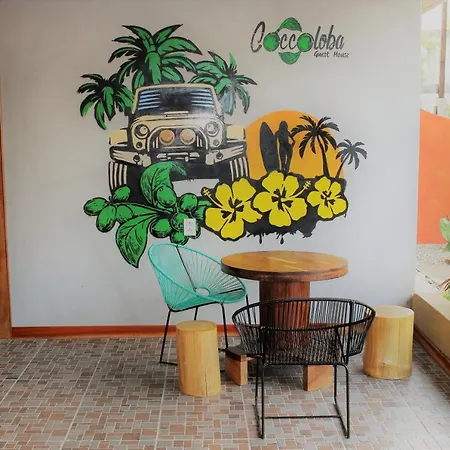 Coccoloba Guest House Puerto Escondido  Extérieur photo