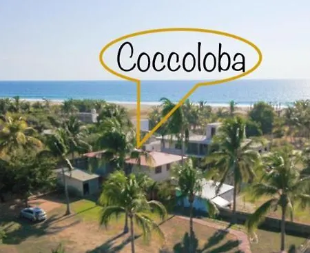 Coccoloba Guest House Puerto Escondido  Extérieur photo